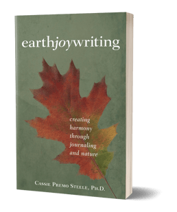 6b429c7d-03c2-40dd-a1d8-00a17aaacf35-other_photos_files-earth_joy_writing_800