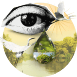 NEA Individual Elements