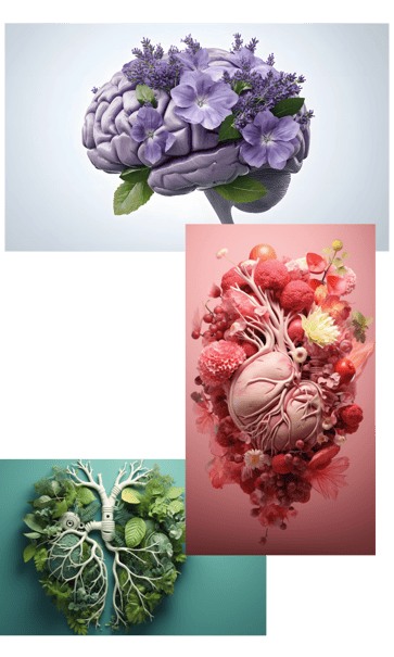 Untitled design - 2026-01-26T145905.421